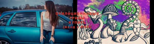 МДПВ Коряжма