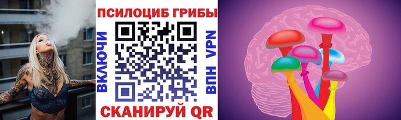 Купить закладки  Великие Луки  Галлюциногенные грибы Cubensis 